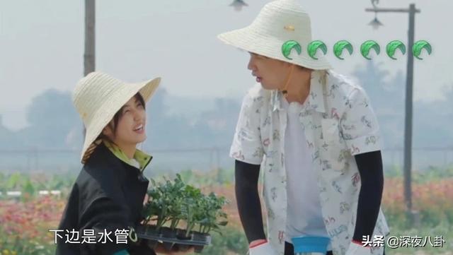 拜托了冰箱第三季嘉宾:如何评价拜托了冰箱第三季第一期谢娜的表现？