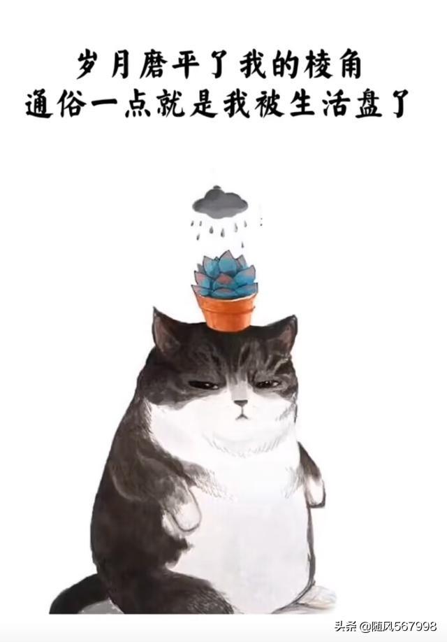 头条问答 - 都说月子仇会记一辈子,那怀孕期的恨会记多久有多深