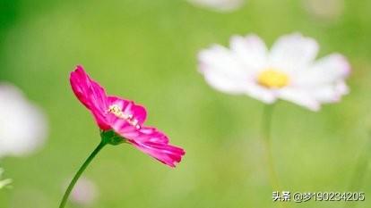 钱桥学校灵异事件:你读过书的学校有没有真实发生的诡异事？