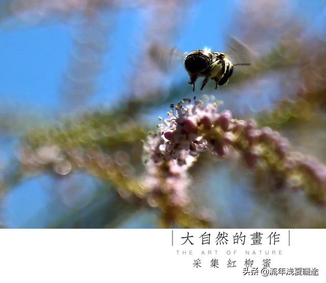 有没有vlog的创作者,想问下你们平常怎么写脚本的？