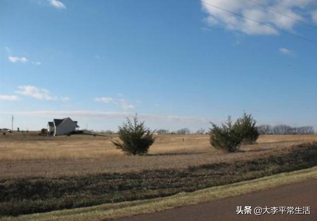美国堪萨斯:为什么美国堪萨斯狗肉节没被取消？