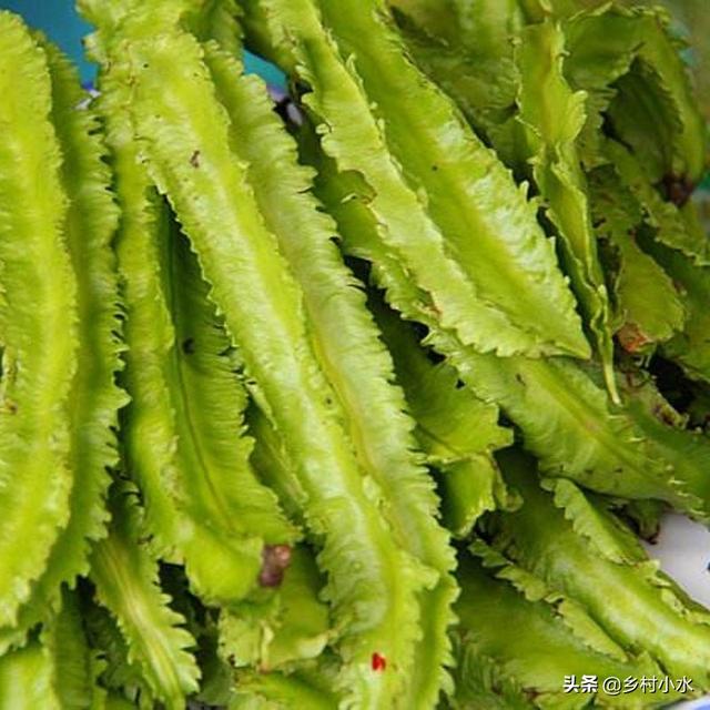 豆子从豆荚里跳出来视频:四棱豆生育期，花蕾大量脱落，该怎么办？