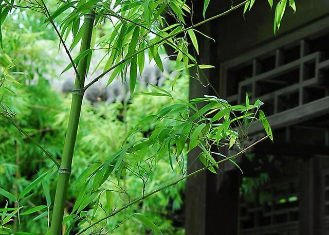 周邦彦:“词圣”该评给苏轼、周邦彦还是辛弃疾呢？