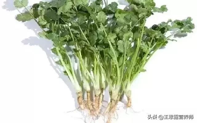 香菜根煮水喝的好处有哪些？插图4