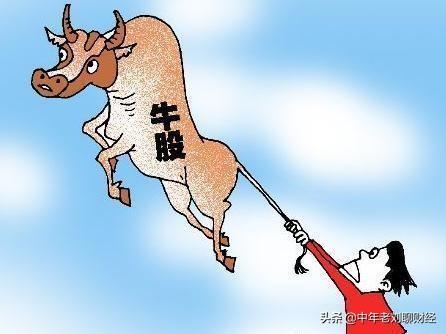 什么样的股票最容易成为牛股？插图4