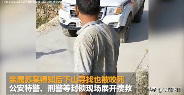 熊出没全集208集，惨！母亲送儿读书遇熊咬死，搜救2人死亡，遇熊该如何自救