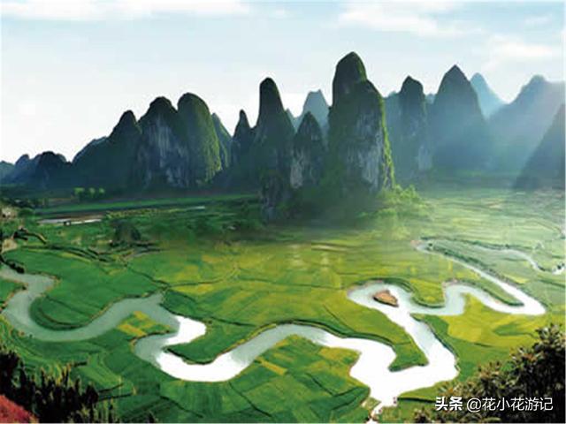 广西土松狮吧:有懂狗的吗，请问这是什么狗？