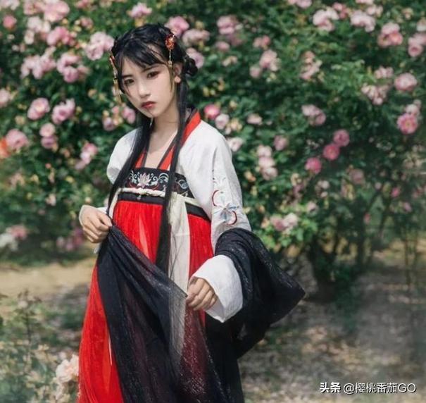重回汉唐歌词:青凤来配什么颜色大袖衫好看