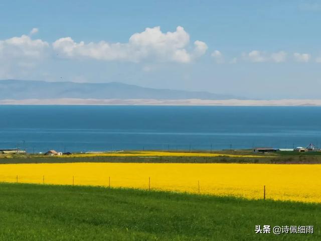 你为什么支持华为手机？理由是什么？插图4