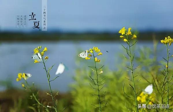 绝日是什么意思:腊月二十一为绝日，俗语：“绝日不回家，离日不结婚”，啥意思？