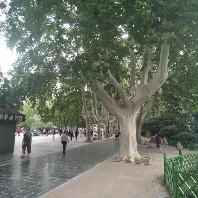 昆剧的特点:京剧和昆曲的区别在哪里？