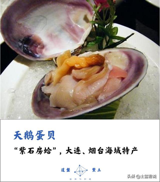 龙趸王:中国四个海哪个海里的海鲜好吃，为什么