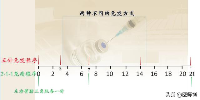 被猫抓伤多少天过危险期了:被猫抓超过3个月有狂犬病吗？