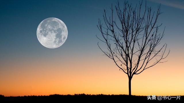 六个月亮解密，《月亮与六便士》里的斯特里克兰的行为，是“自私”还是“忘我”