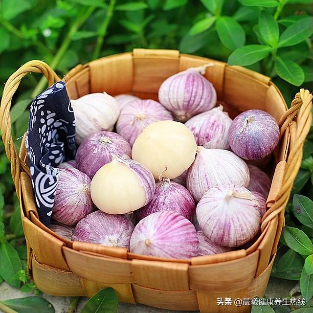 头条问答 - 大蒜的营养及药用价值是什么?(新疆戈壁骆驼的回答,0赞)