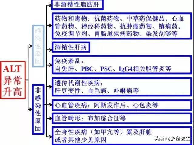 钩端螺旋体病血清:狗狗感染了钩端螺旋体病在什么症状下不能医治了？