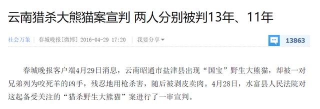 四川大熊猫误入水电站落水:杀死大熊猫会不会判死刑？