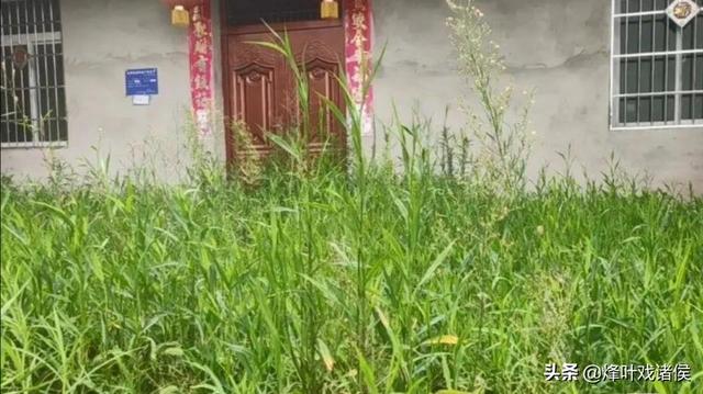四川男子杀妻肢解:四川中江男子离婚路上杀妻，对此你怎么看