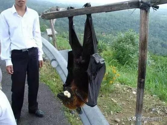 你觉得人生一世，有必要去一次的地方或吃一次的美食有哪些？