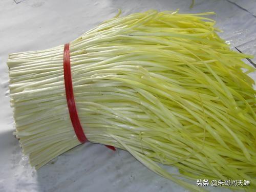 没有窗户不通风没有阳光只有灯光的房间可以养什么植物？