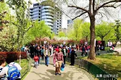 淡然,心静的昵称什么意思:古诗中经常出现的“东篱”是什么意思？如何理解它的含义？