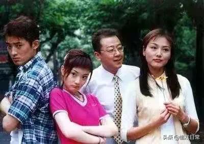 李小璐演过的电视剧:李小璐演过哪些经典的角色，你认为她的演技如何