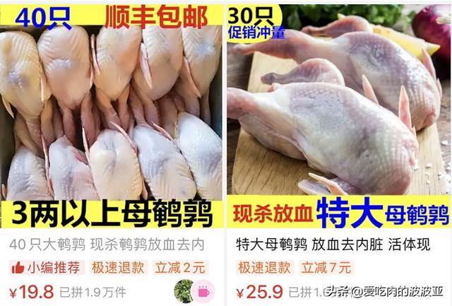 小蓝猫最喜欢吃什么零食:蓝猫吃什么可以美毛？吃蛋黄能美毛吗？ 小蓝猫最喜欢吃什么