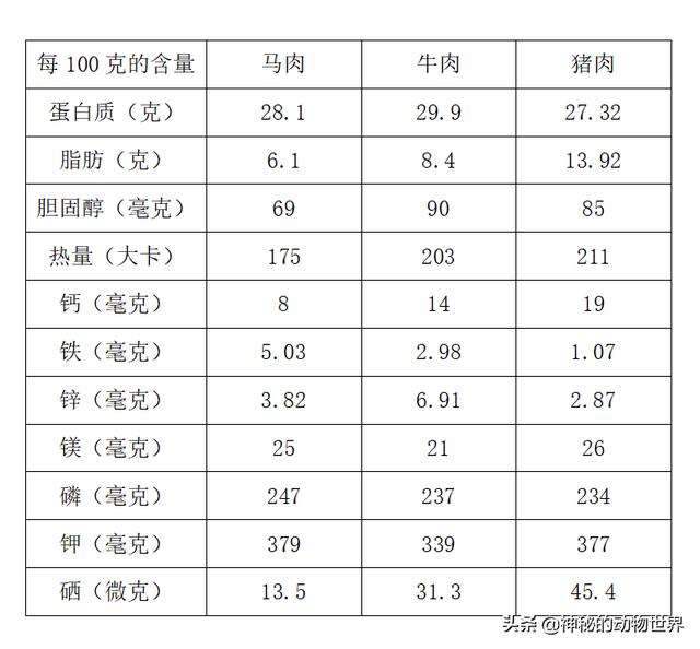 马肉能吃吗:马肉能吃吗?为啥没有卖马肉的? 人类吃牛肉为什么不吃马肉？