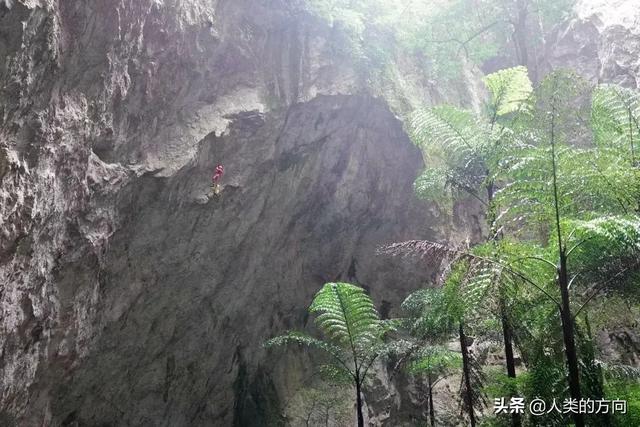 数学为什么没有列在四大天坑专业中？