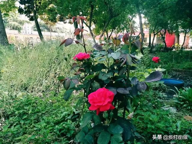 服装店缺人,招聘店长的消息应该怎么群发出去？