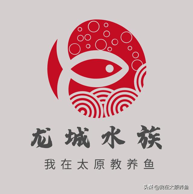 迷你鹦鹉鱼的饲养环境:迷你鹦鹉鱼孵化需要几天？