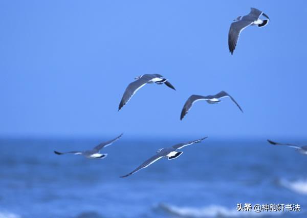 书家四贤:楷书鼻祖钟繇有哪些著名的代表作品？如何赏析？