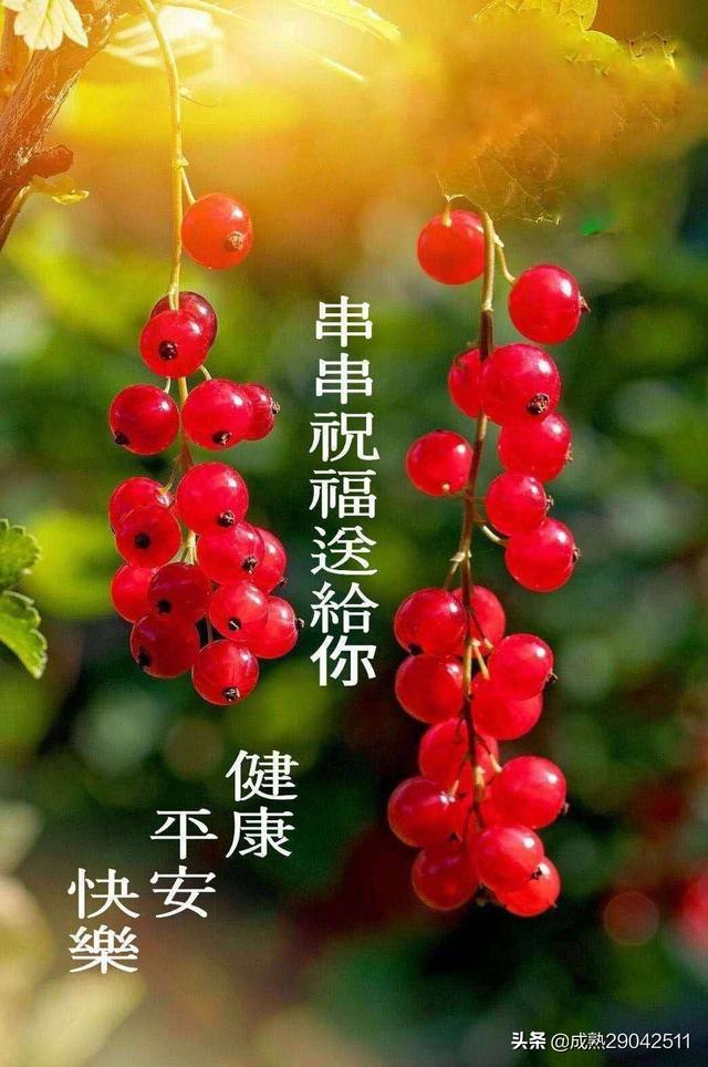 你把你的\