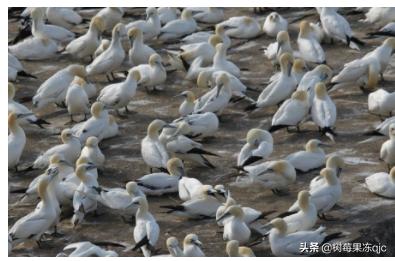 2020年穷人创业项目:2020年在农村创业，什么项目最赚钱