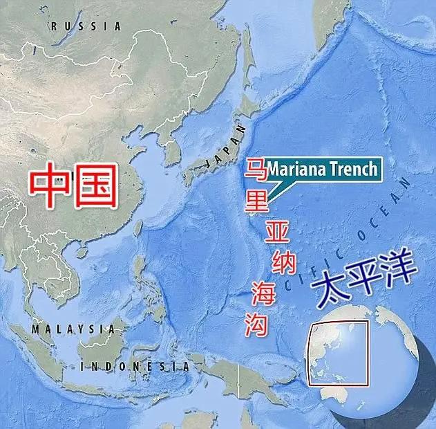 深海短吻狮子鱼图片:在马里亚纳海沟底部有鱼类生存吗？