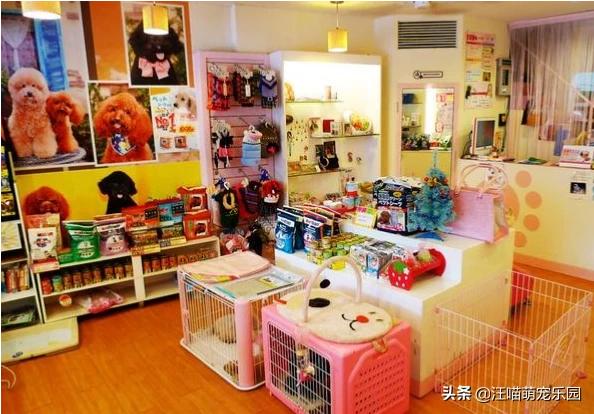 宠物店市场分析:北京宠物店加盟有市场吗？