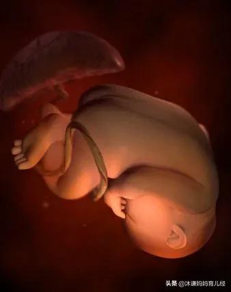 女孩出生一般孕期多少周为最佳？