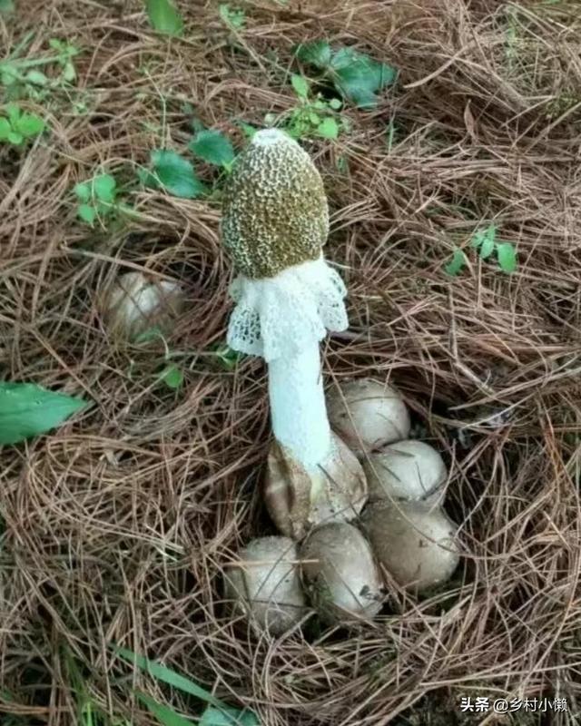 什么食品可以放10年以上还可以吃？插图52