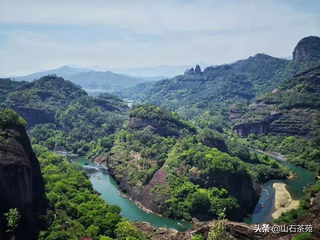 十大最好喝的茶叶,中国十大名茶哪种味道最好？