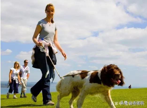 虐狗门:邻居家养了一只小狗，经常听到狗子被打的惨叫，怎么办？
