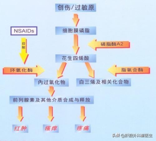 骨性关节炎吃什么药:膝关节骨性关节炎吃什么药 患有膝骨性关节炎该如何治疗？得了骨关节炎怎么治疗好？