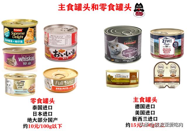 猫主食罐:五个月的猫能吃罐头吗?胃会不会不适应？