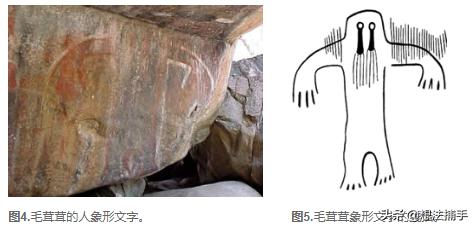 茂密森林灵异事件后续:神秘动物在哪里？大脚怪真的存在吗？