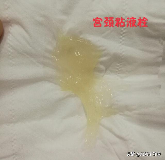 生孩子前的征兆什么感觉:孩子要出生之前有什么反应，我是头胎，快到预产期了，好紧张？