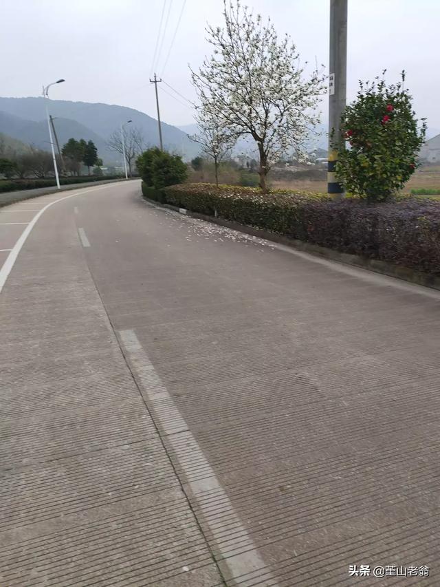 小红书几点发比较容易热门