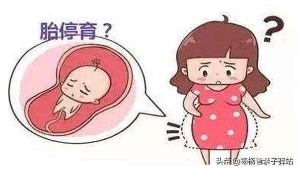 有过胎停育经历的姐妹们，你们后来顺利怀孕，生下来了吗？插图29