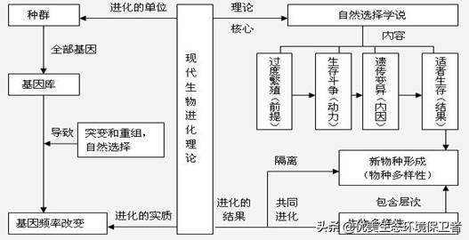 你觉得自然死亡是进化的必然选择么？