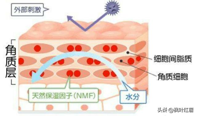 皮肤卡粉浮粉怎么改善，怎么解决秋冬皮肤干燥卡粉、浮粉等问题