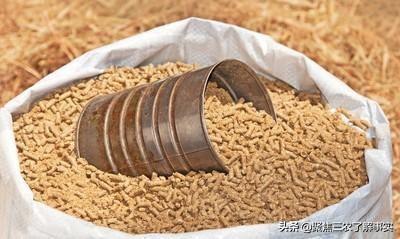 阿诺泰兔预混料:高温季节，母兔如何催产？
