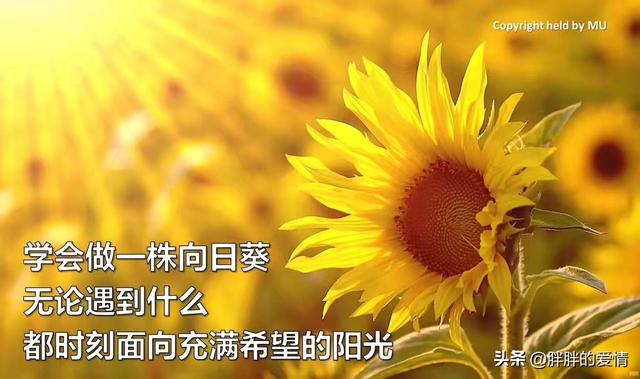 <a href=https://maguai.com/list/256-0-0.html target=_blank class=infotextkey><a href=https://maguai.com/list/256-0-0.html target=_blank class=infotextkey>朋友圈</a></a>早上好经典短句:有没有什么好的早安<a href=https://maguai.com/list/46-0-0.html target=_blank class=infotextkey><a href=https://maguai.com/list/46-0-0.html target=_blank class=infotextkey>语录</a></a>推荐？